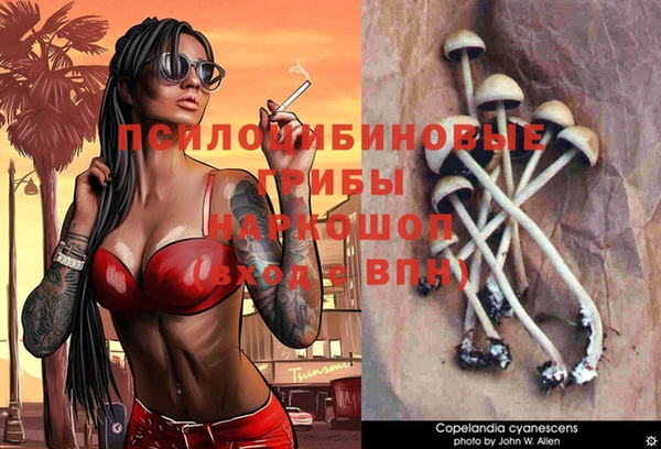 каннабис Медвежьегорск